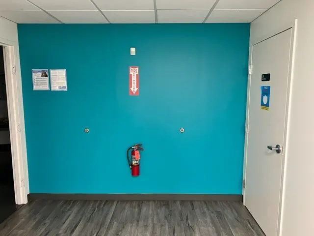 Office wall painted bright teal beside a white door, under a drop ceiling